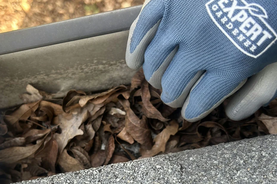 Gutter Cleaning Liberty SC