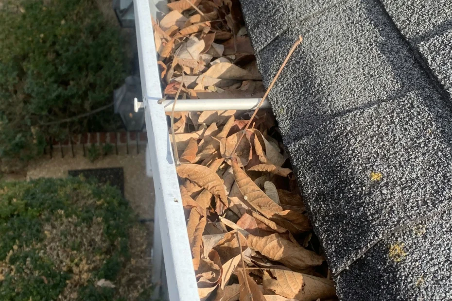 Gutter Cleaning Liberty SC