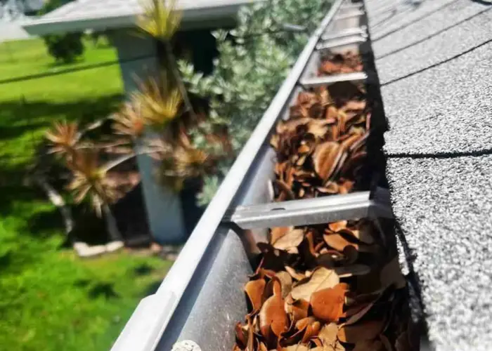 Gutter Cleaning Liberty SC home page